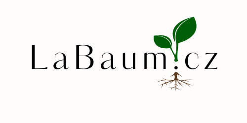 La Baum